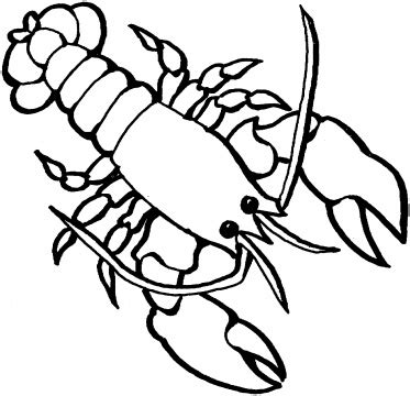 Lobster Outline WikiClipArt