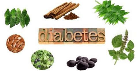 Five Beneficial Herbs For Diabetes That Lowers Blood Pressure
