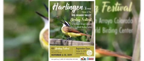 26th Annual Birding Festival Visit Harlingen Texas