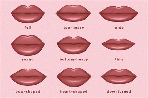 9 Common Lip Shapes And How To Enhance Each With Makeup
