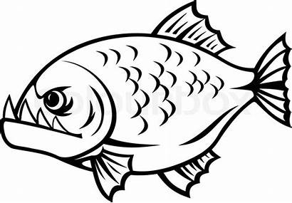 Piranha Fish Angry Cartoon Clipart Illustration Mean