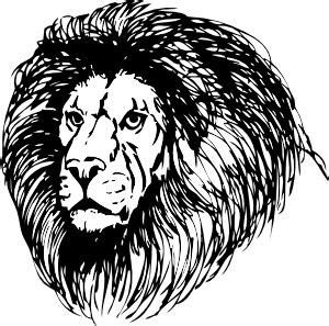 The chicken (gallus gallus) is a creature of black & white: Free Lion Clip Art is King of the Internet - ibytemedia