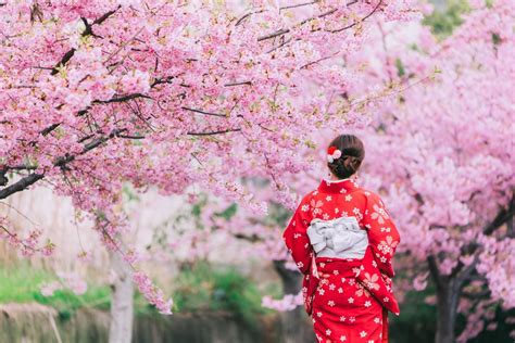 Цветение Сакуры в Японии лучшие места для любования Planet of Hotels