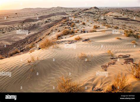 Rocky Sand Dunes At Sunrise In The Thar Desert Of Eastern Rajasthan