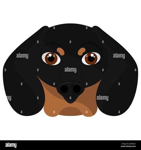 Isolated Cute Dachshunds Cartoon Dog Breeds Vector Stock Vector