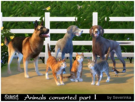 The Sims 4 Custom Content Animals Decoration
