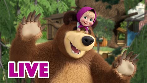 🔴 live stream 🎬 masha and the bear 📽️best episodes 2022 so far 💥 youtube