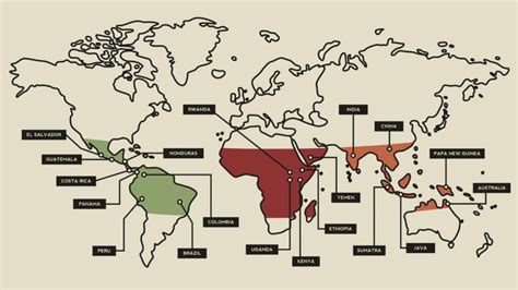 Coffee Growing Regions A Comprehensive Guide