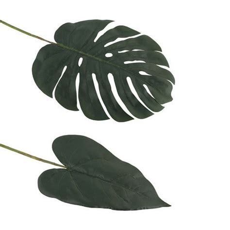 2 Large Stem Leaves | KmartNZ | Plant leaves, Leaves, Plants