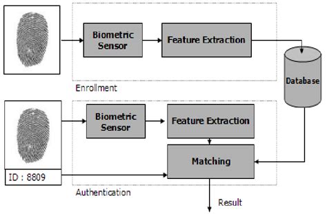 Architecture Of Biometric System Download Scientific Diagram