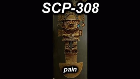 Scp S