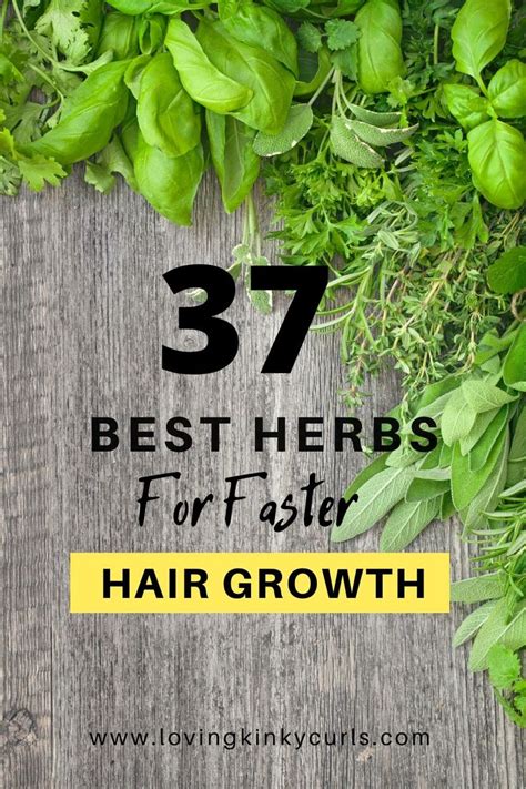 30 Easy Herbs For Hair Growth References Herb Garden Planter