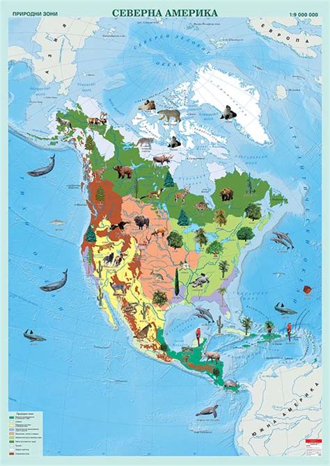 Северна Америка природни зони — Учмаг