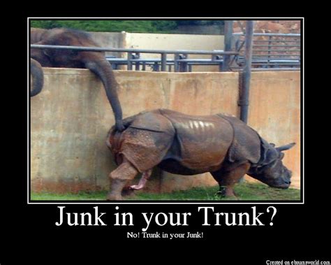 Junk In Your Trunk Picture Ebaums World