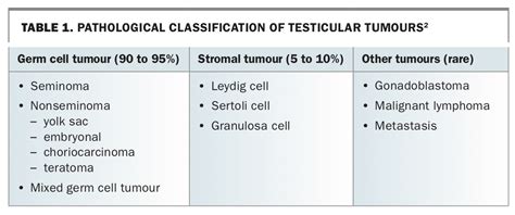 Testicular Cancer Key Issues In Diagnosis Treatment And Follow Up
