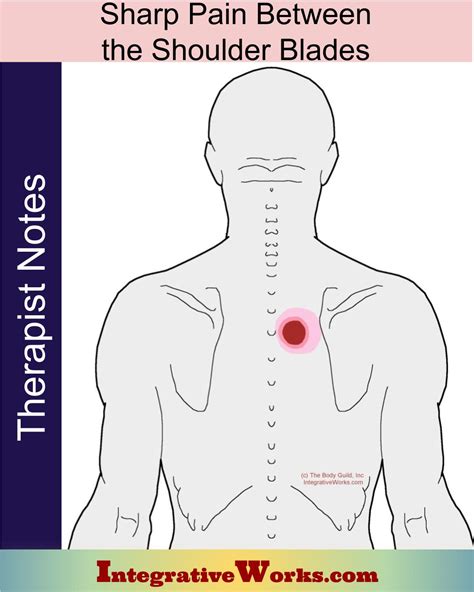 Sharp Pain Between The Shoulder Blades Massage Therapy Notes