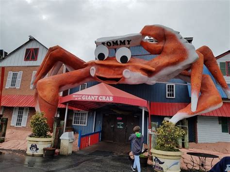 Giant Crab Seafood Restaurant Myrtle Beach Fotos Número De Teléfono