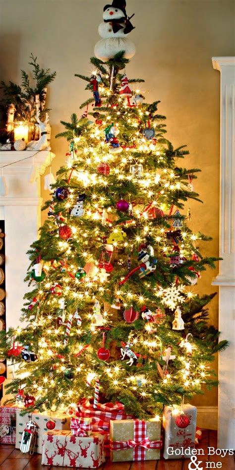 Real Noble Fir Christmas Tree With Trimmed Branches To Make Room For