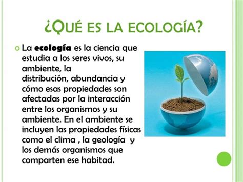 Qué Es La Ecología Images And Photos Finder
