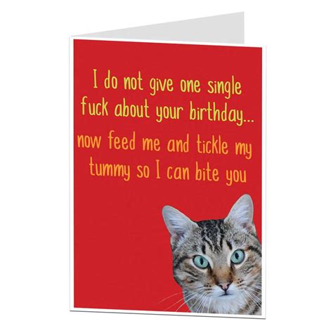 Buy Funny Birthday Card Cat Pet Theme Rude Offensive Perfect For Owner