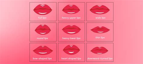 What Are Those Lip Shapes On A Lip Chart Loréal Paris