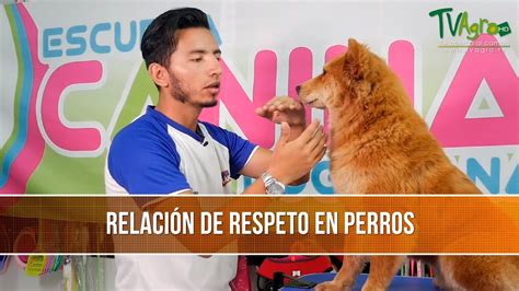 Tecnicas En El Comportamiento Canino Tvagro Por Juan Gonzalo Angel
