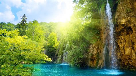 Sunny Day At The Waterfall Android Wallpapers For Free