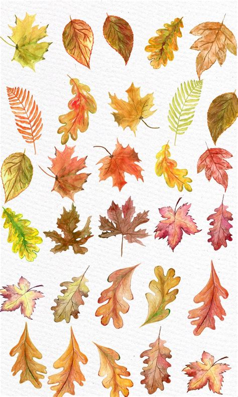 Watercolor Leaves Clipart Autumn Leaves Clipart Etsy Watercolor Leaves Fall Watercolor