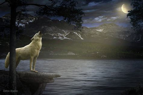 White Wolf Howling Digital Art By Dejan Travica Fine Art America