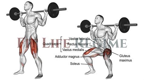 15 Best Barbell Leg Workout For Mass And Strength