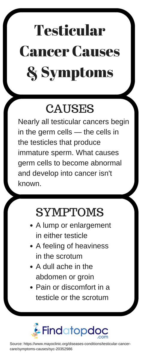 What Are The Signs And Symptoms Of Testicular Cancer