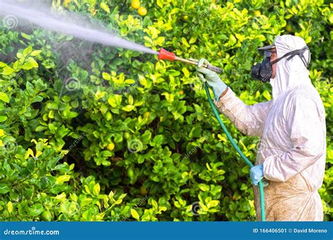Weed Insecticide Fumigation Organic Ecological Agriculture Spray