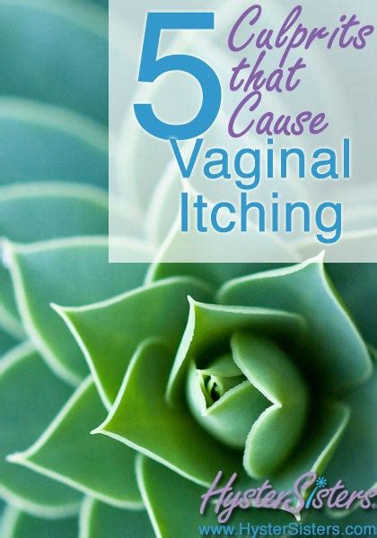 7 Culprits That Cause Vaginal Itching Menopause And Hormones Article