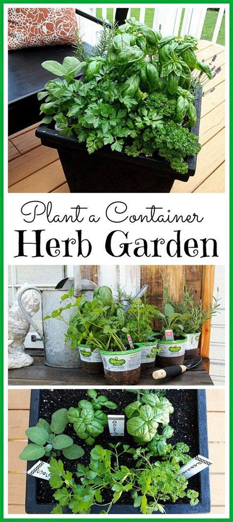 Best Diy Projects 6 Great Tips For Planting A Container