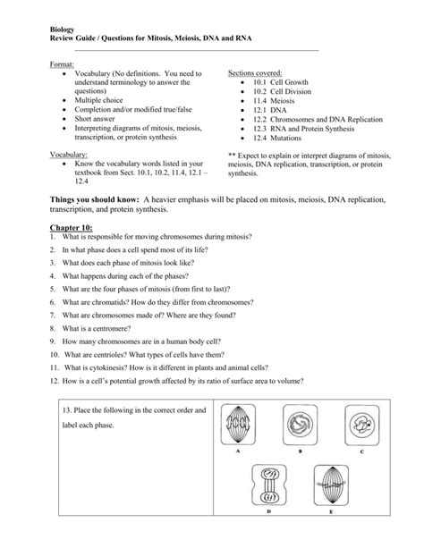 Meiosis flashcards | quizlet ahead of preaching about biology section 11 4 meiosis worksheet answer key, you need to know. Section 11-4 Meiosis Answer Sheet : The Day After Tomorrow ...