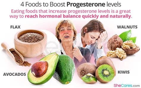 4 Foods To Boost Progesterone Levels Shecares