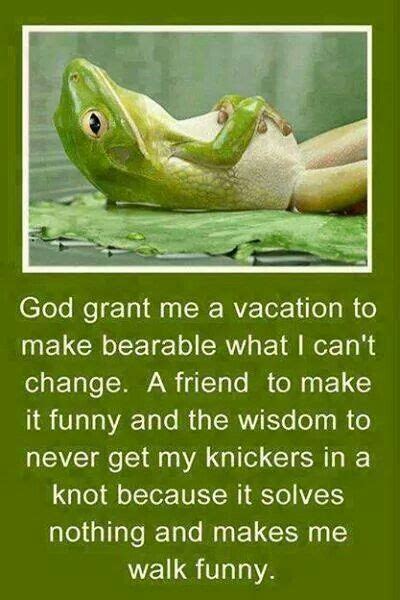 25 Best Funny Serenity Prayers Images On Pinterest Funny Stuff