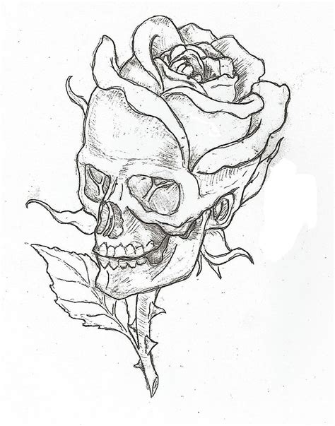 Skull Rose By Epickickboxer On Deviantart