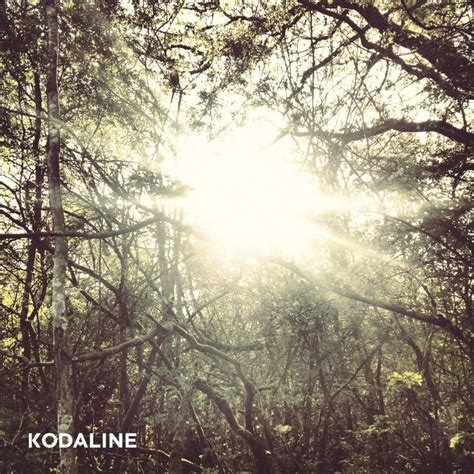 All i want is nothing more to hear you knocking at my door 'cause if i could see your face once more i could die a happy man i'm sure. Kodaline - All I Want Lyrics | Genius Lyrics