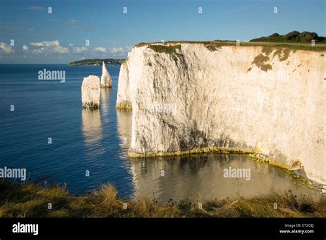 Dawn At The White Cliffs And Harry Rocks At Studland Isle Of Purbeck