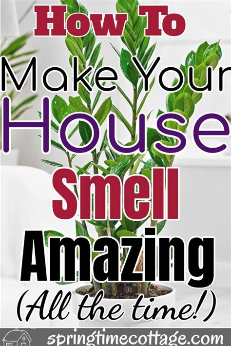 How To Make Your Home Smell Amazing All The Time House Smells Make