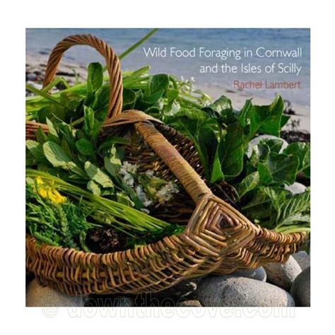 Wild Food Foraging In Cornwall And The Isles Of Scilly Down The Cove