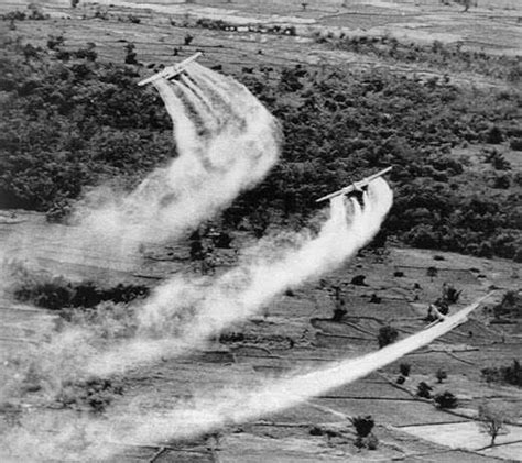 Uso Y Efectos Del Napalm Y Gases Defoliantes En La Guerra De Vietnam