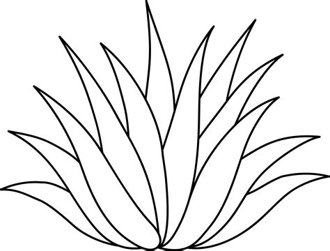 Agave or Aloe Plant Line Art | Agave plant, Plant art ...