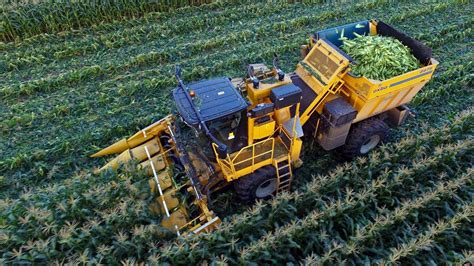 How Does A Combine Work For Corn Work Life