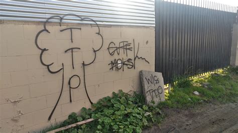Blood Piru Brims Gangs Graffiti Tree Top Piru Compton
