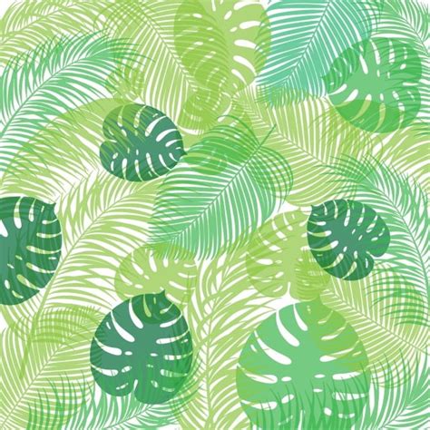 Hojas De Palmeras Tropicales De Moda En Fondo De Tono Verde Png Palma