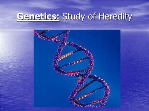 Ppt Genetics Study Of Heredity Powerpoint Presentation Free