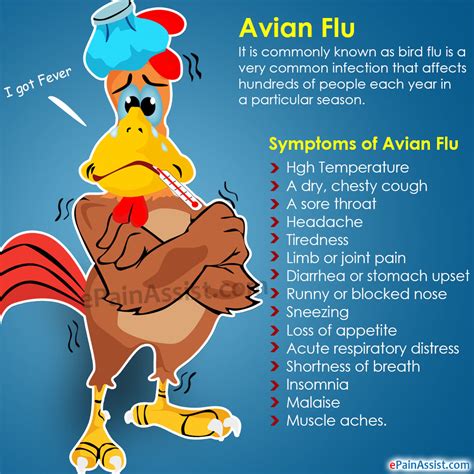 Avian Flucausessymptomstreatmentprevention