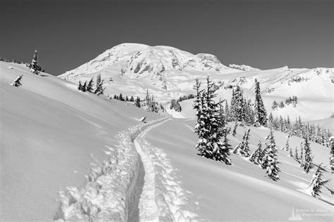 Snow Trail Paradise Mount Rainier Washington 2017